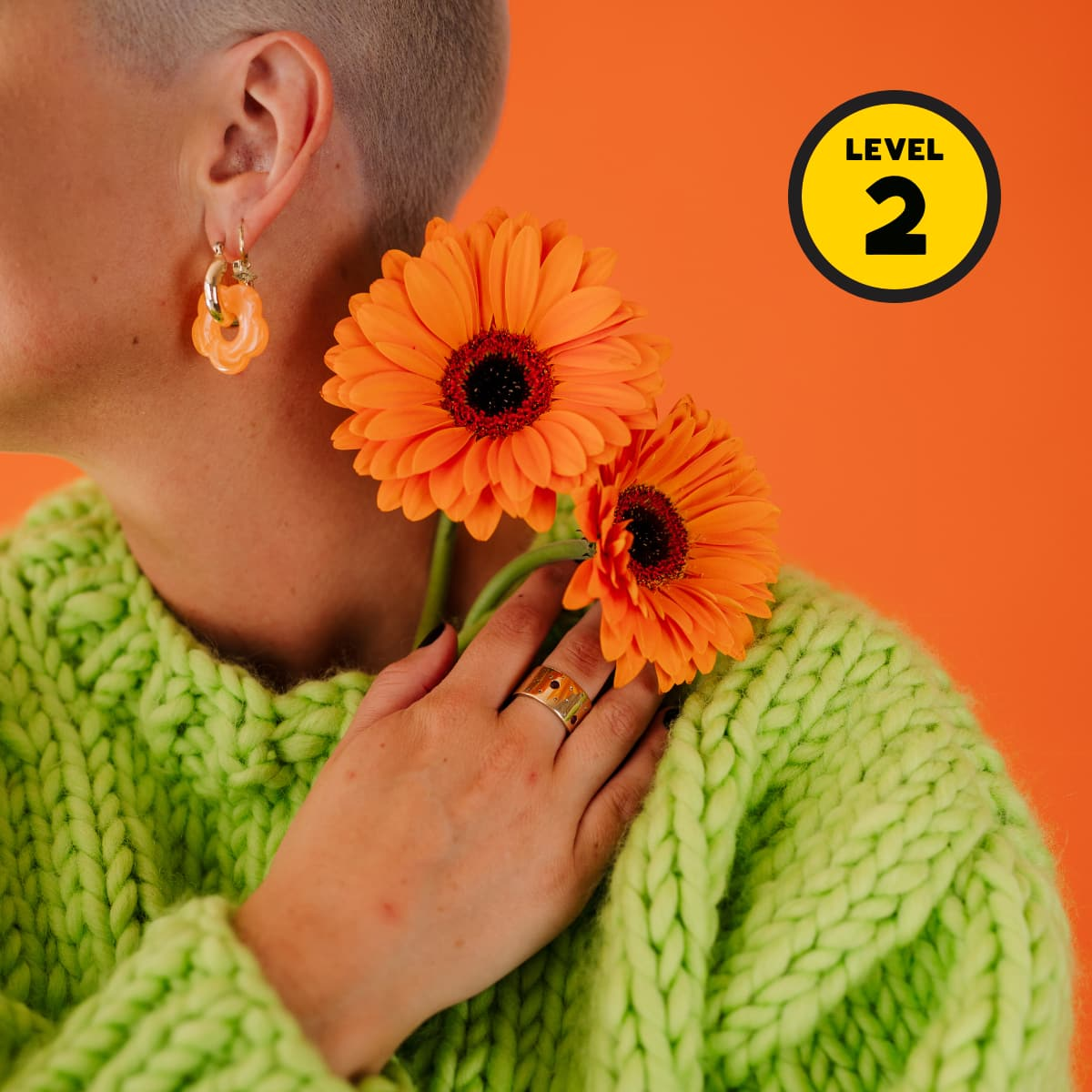 All Beginner Level 2 Knit Kits