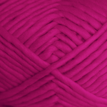 Fuchsia Fiesta