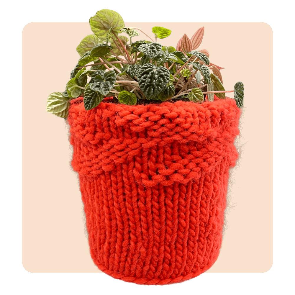 Knitting Succulent Plants, Beginner Crochet Knitting Kit, Suitable For  Beginners And Adults, Crochet Knitting Kit 